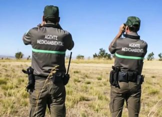 Agentes Medioambientales