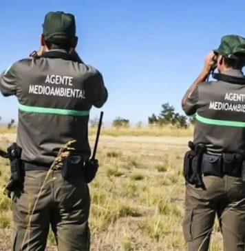 Agentes Medioambientales JCyL · Próxima preparación